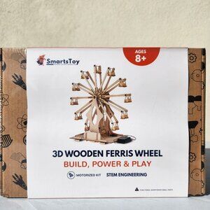 Wooden Ferris Wheel DIY 3D Puzzle Craft Kit STEM PROJECT Construction Toy Set BR